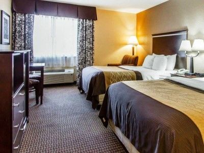Quality & Hotel